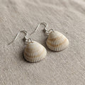 Shellvally Shell Drop Earrings