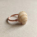 Shellvally Shell Statement Ring