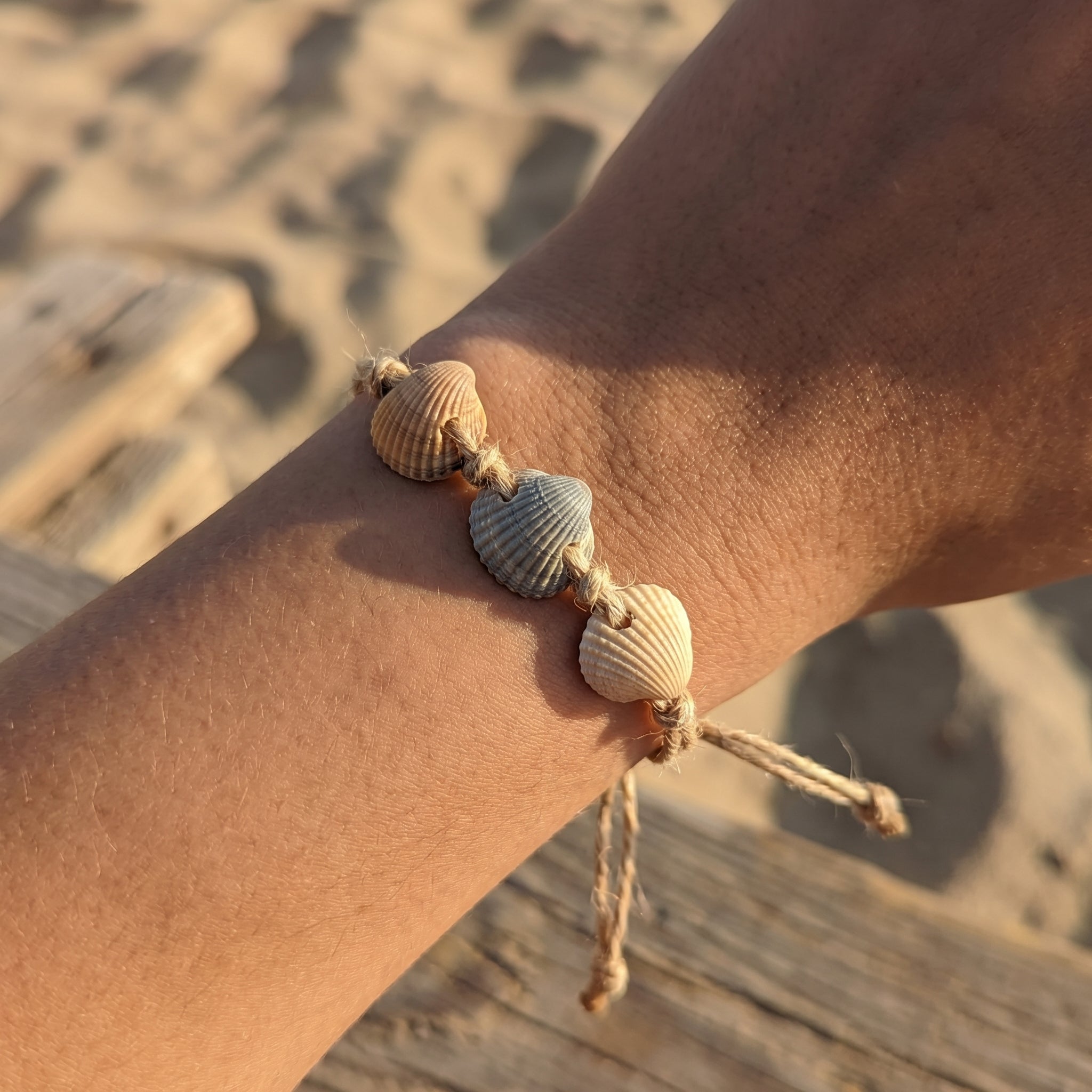Shellvally Shell Bracelet
