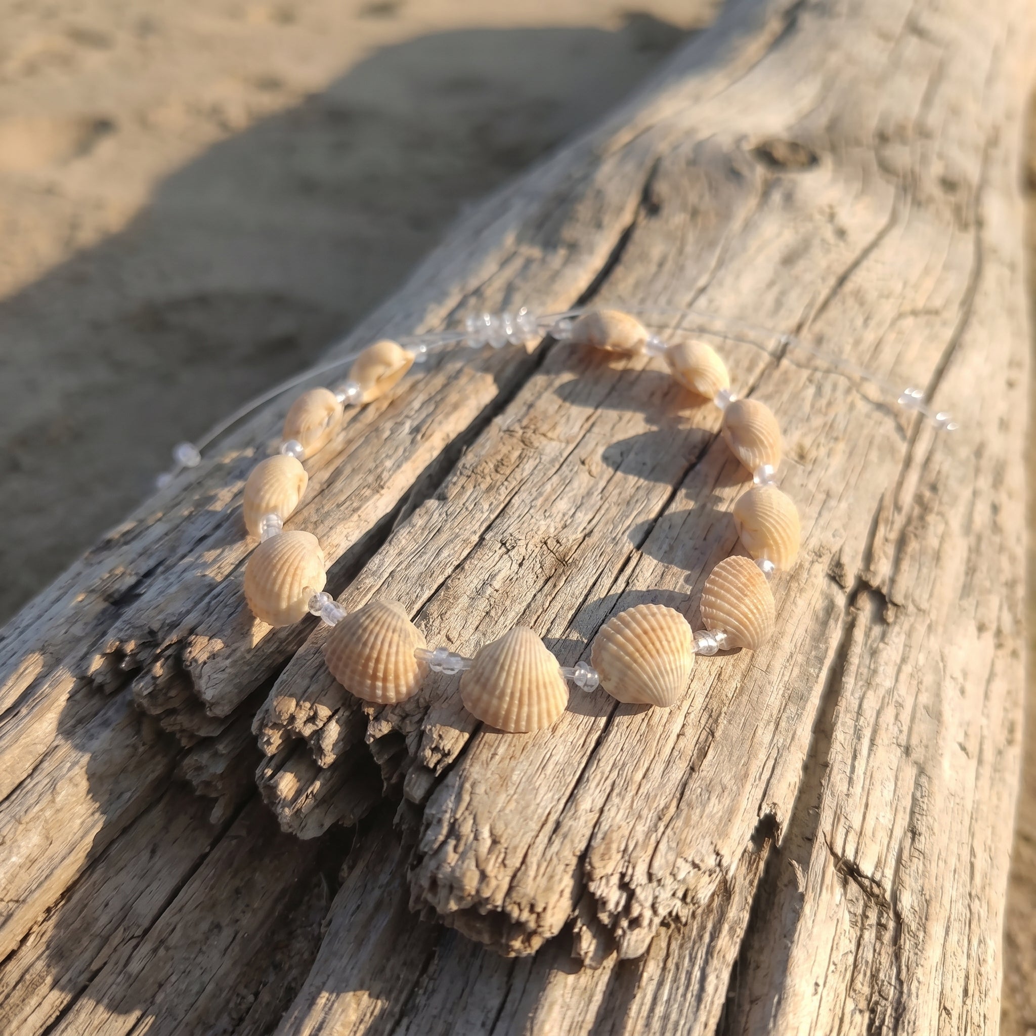 Shellvally Shell Bracelet