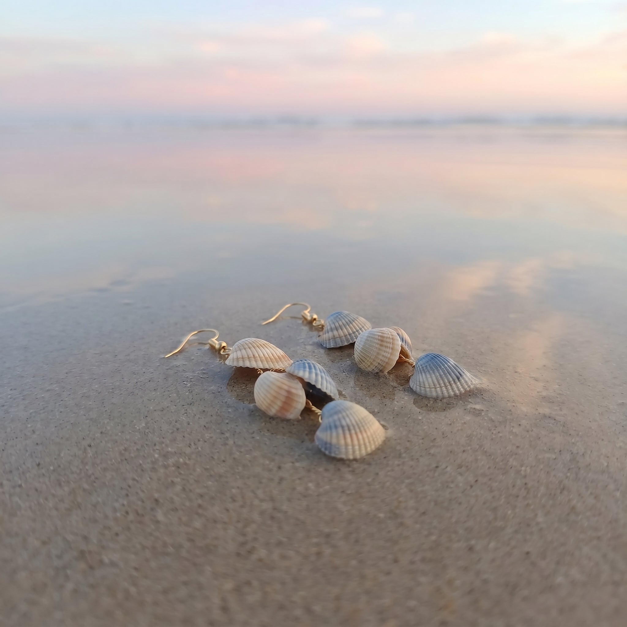 Shellvally Multi-Layer Shell Earrings