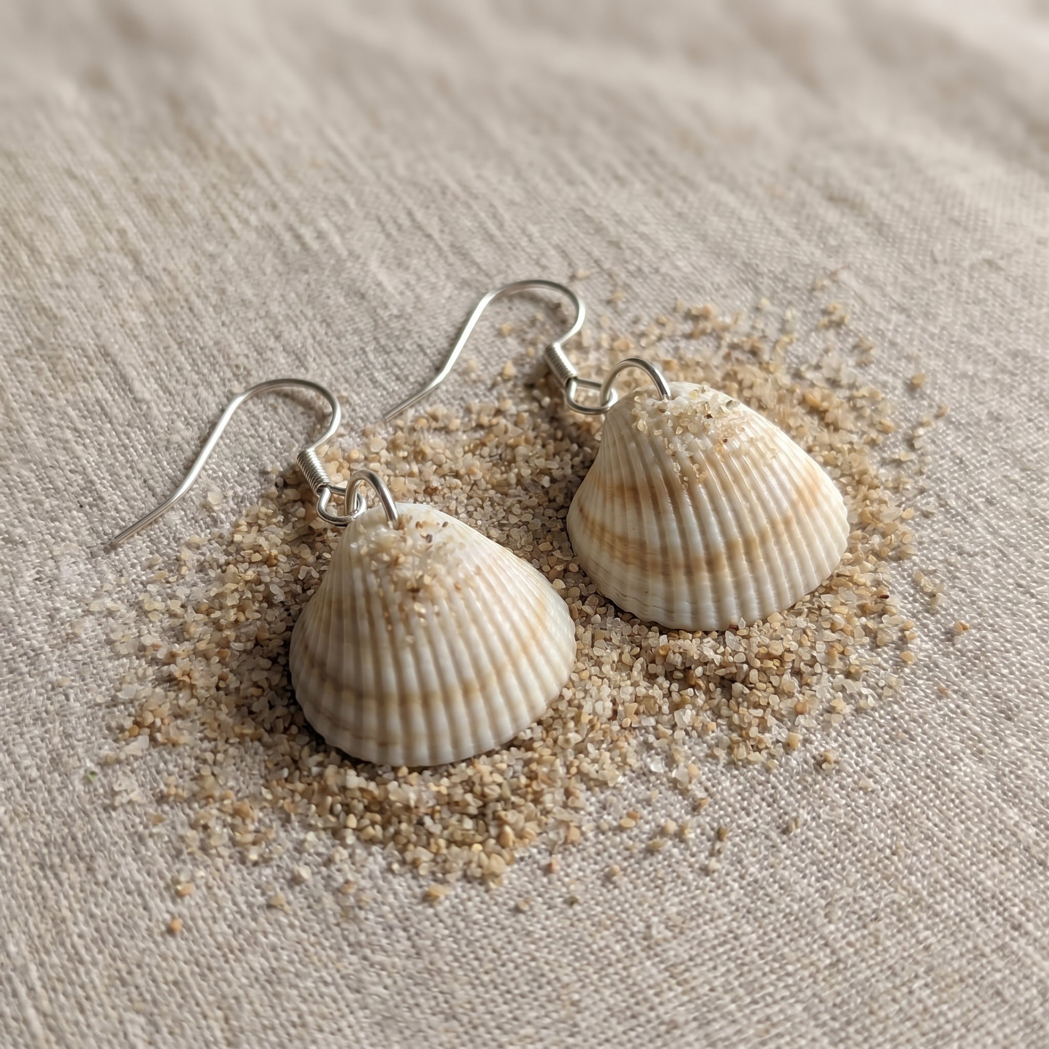 Shellvally Shell Drop Earrings