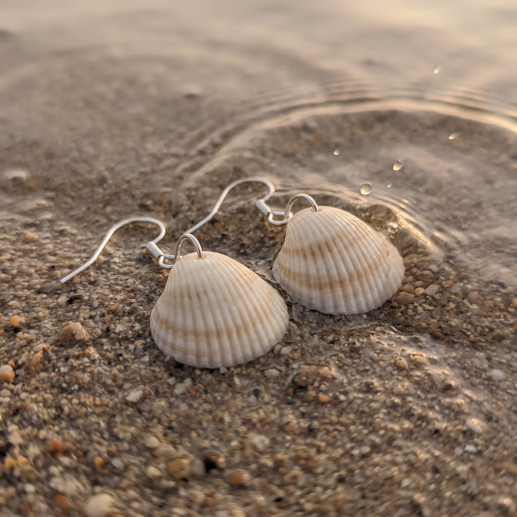Shellvally Shell Drop Earrings