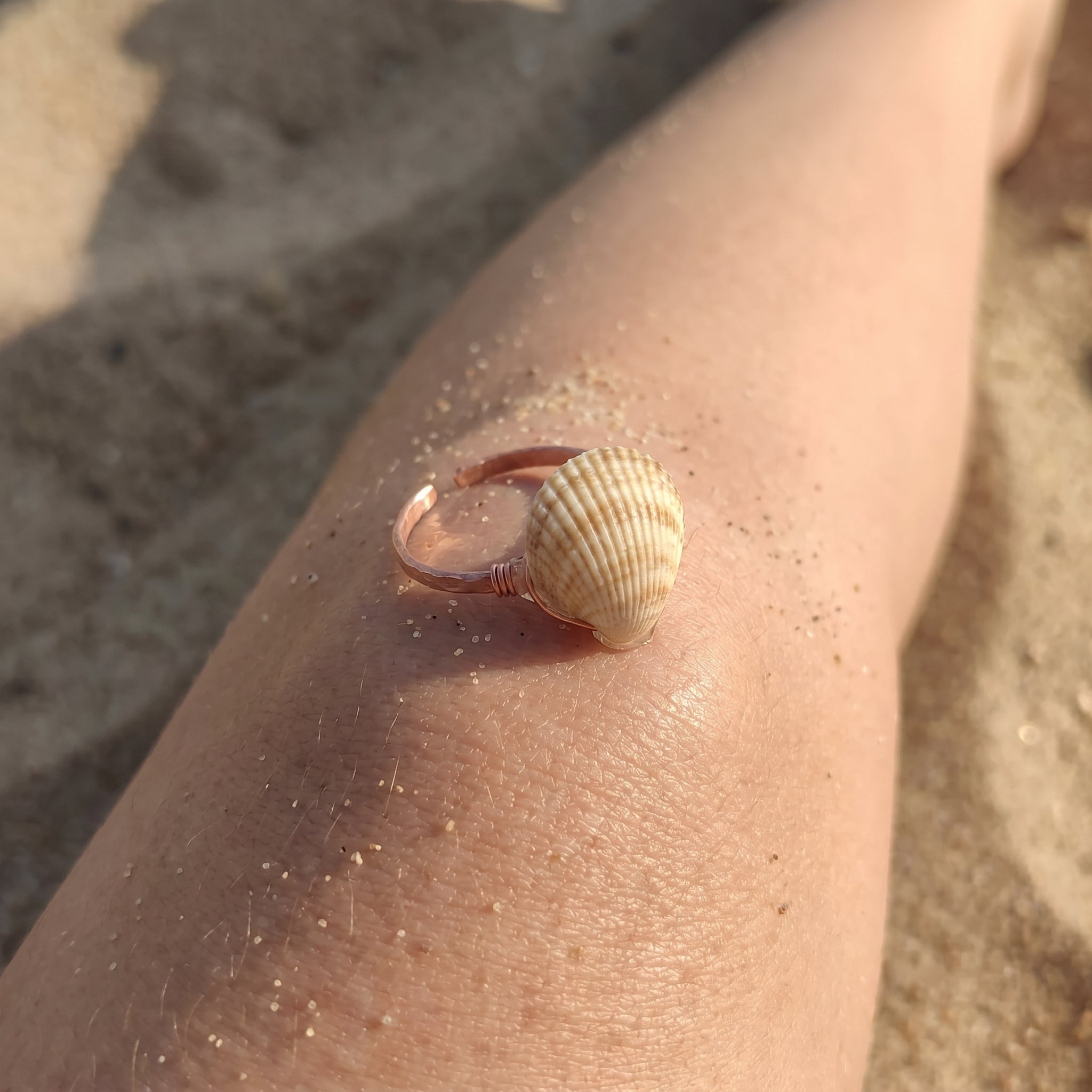 Shellvally Shell Statement Ring