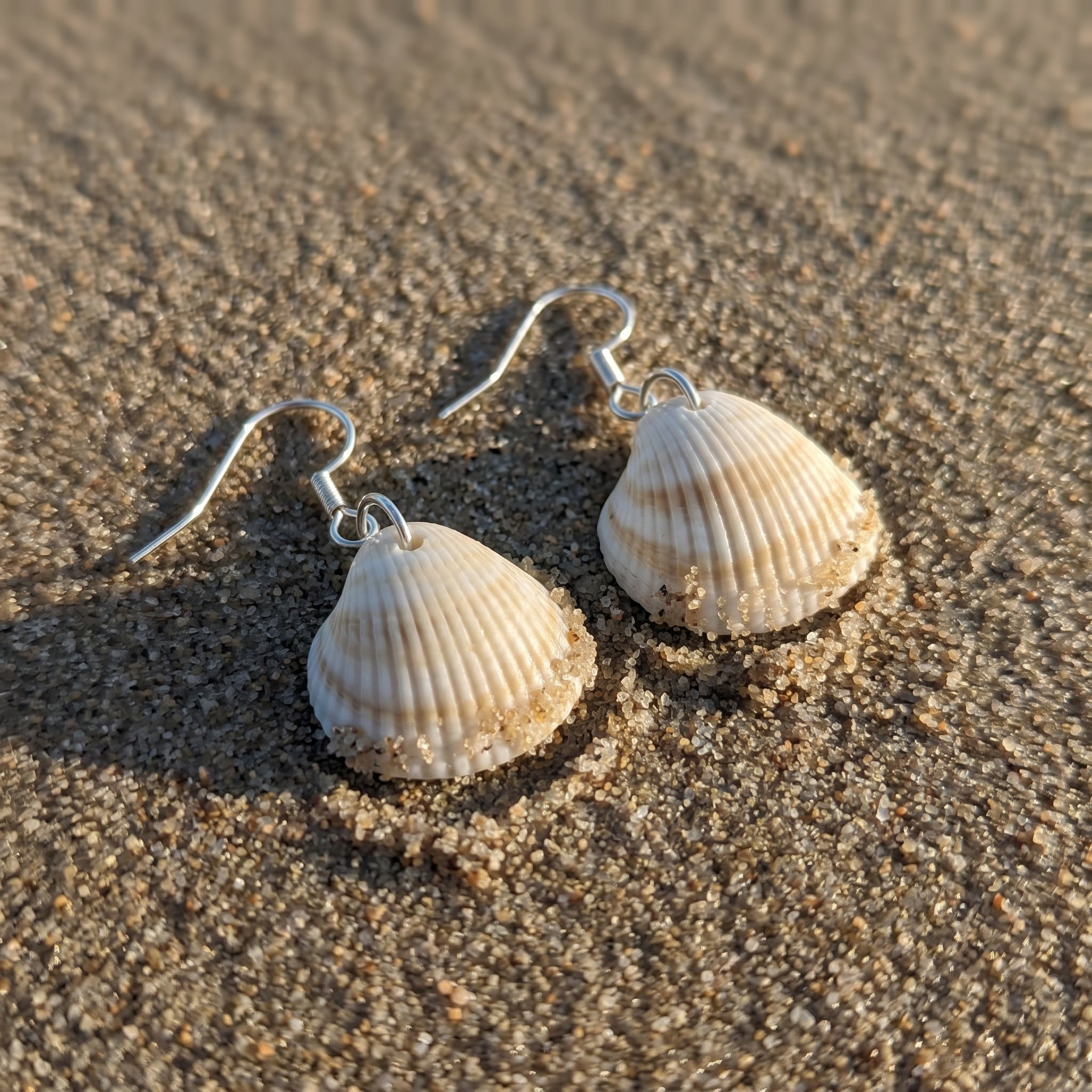 Shellvally Shell Drop Earrings