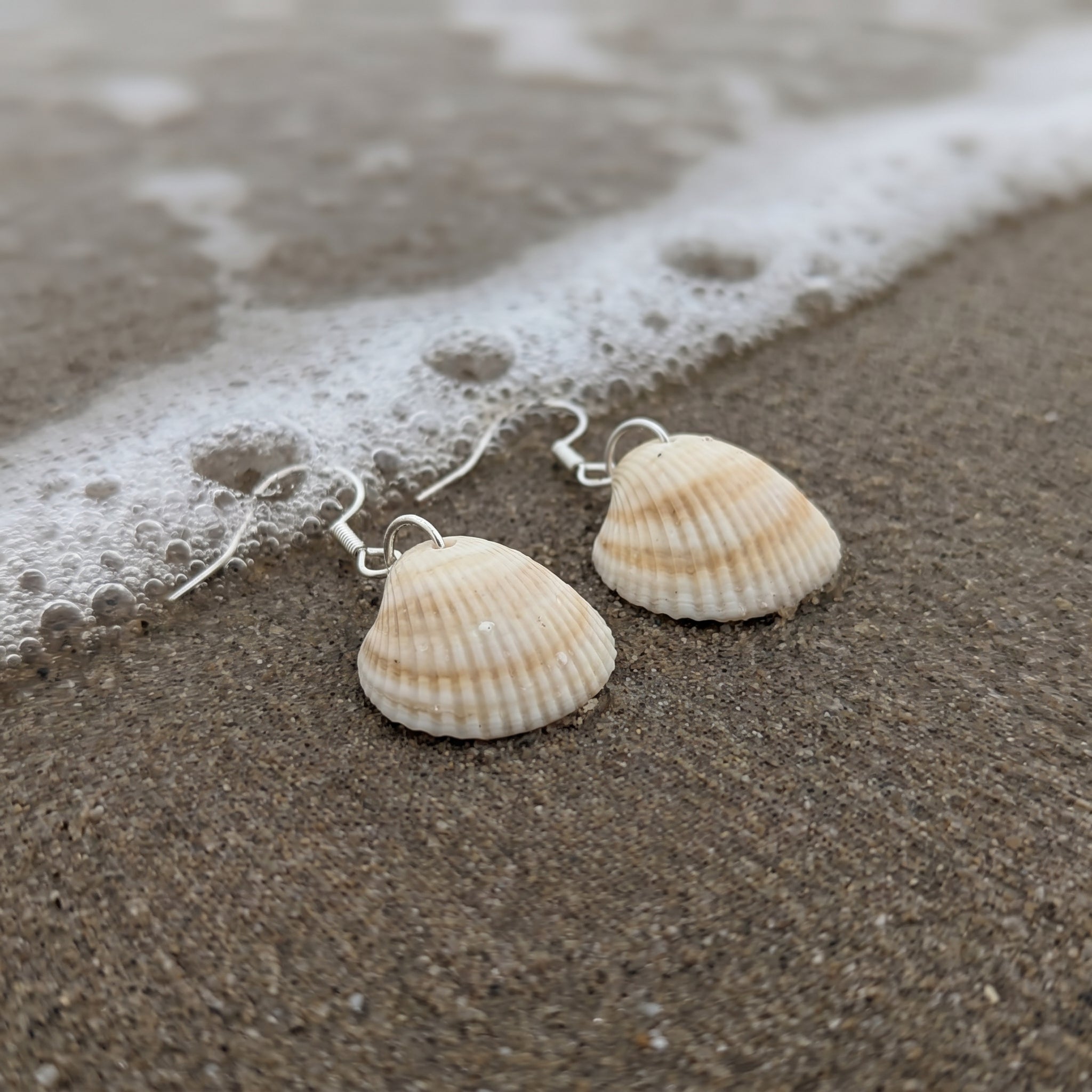 Shellvally Shell Drop Earrings