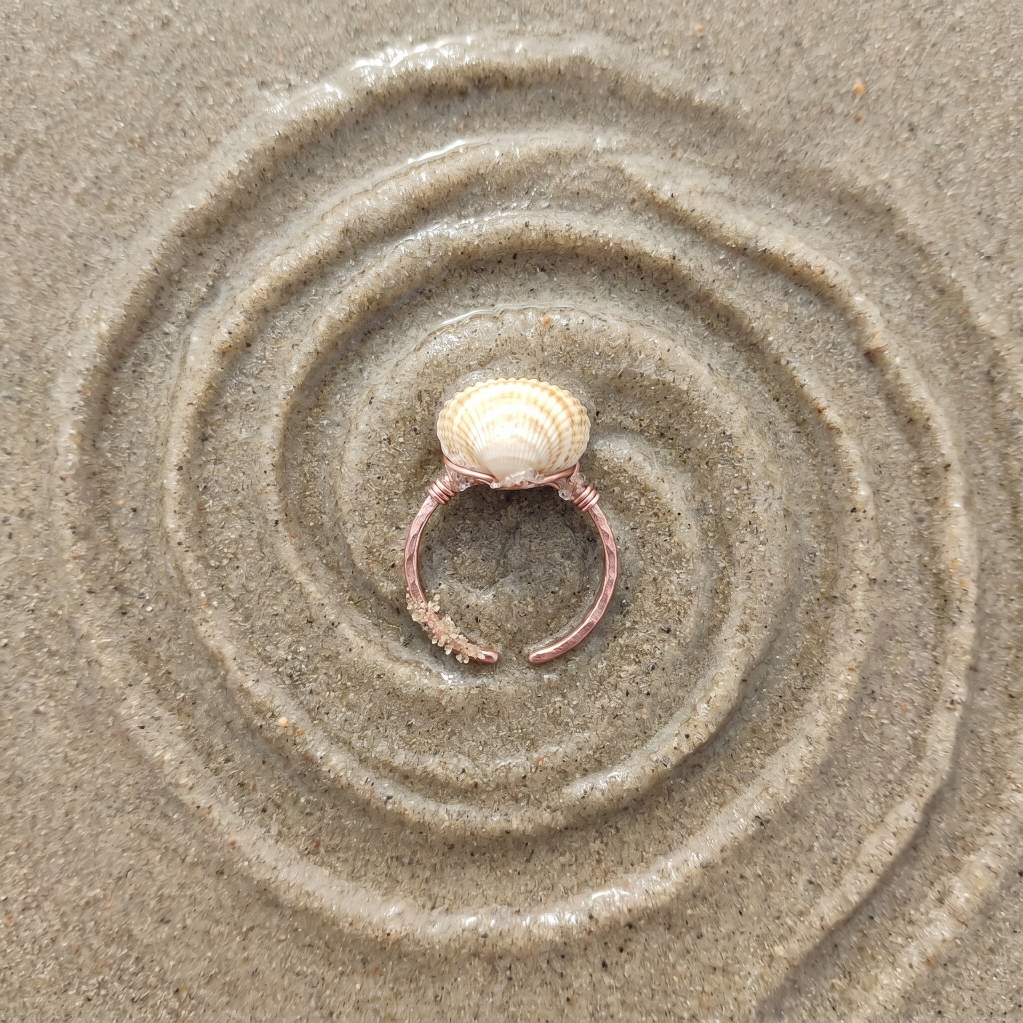 Shellvally Shell Statement Ring