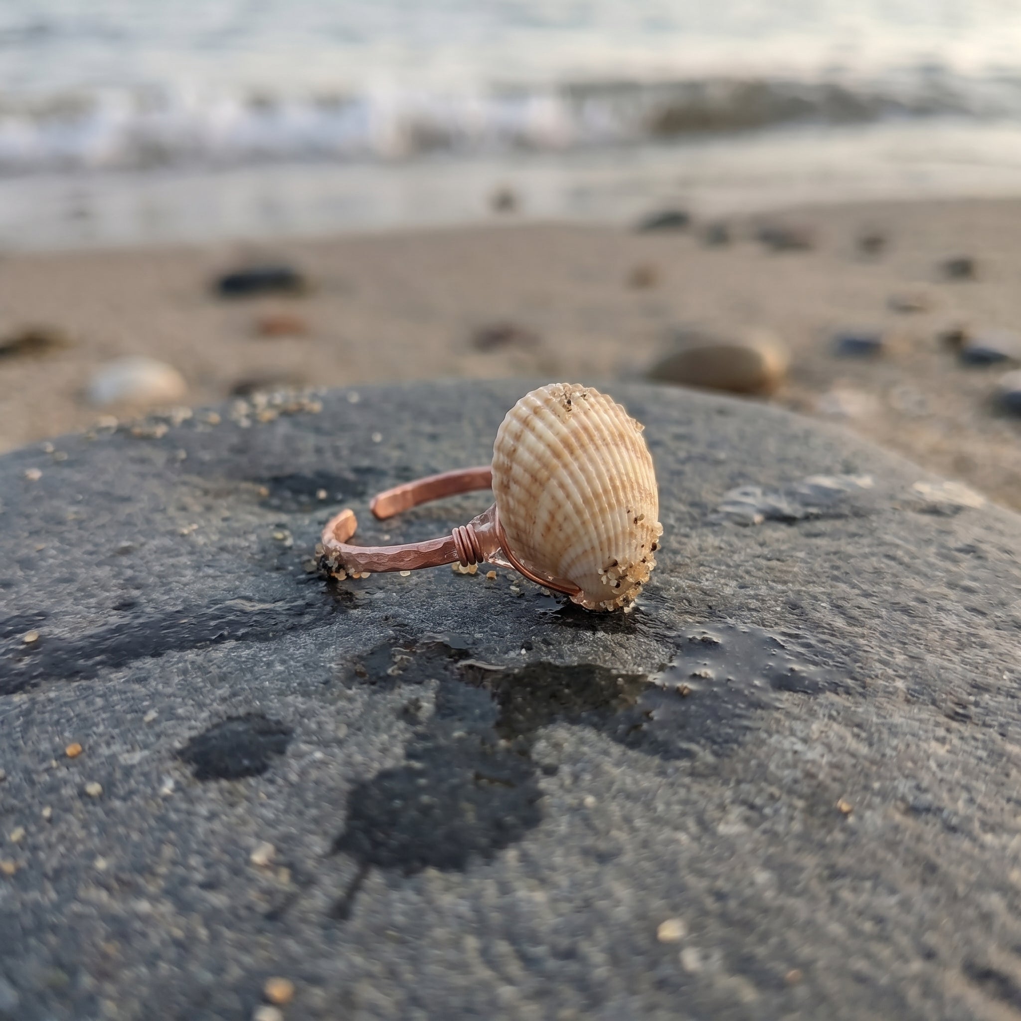 Shellvally Shell Statement Ring