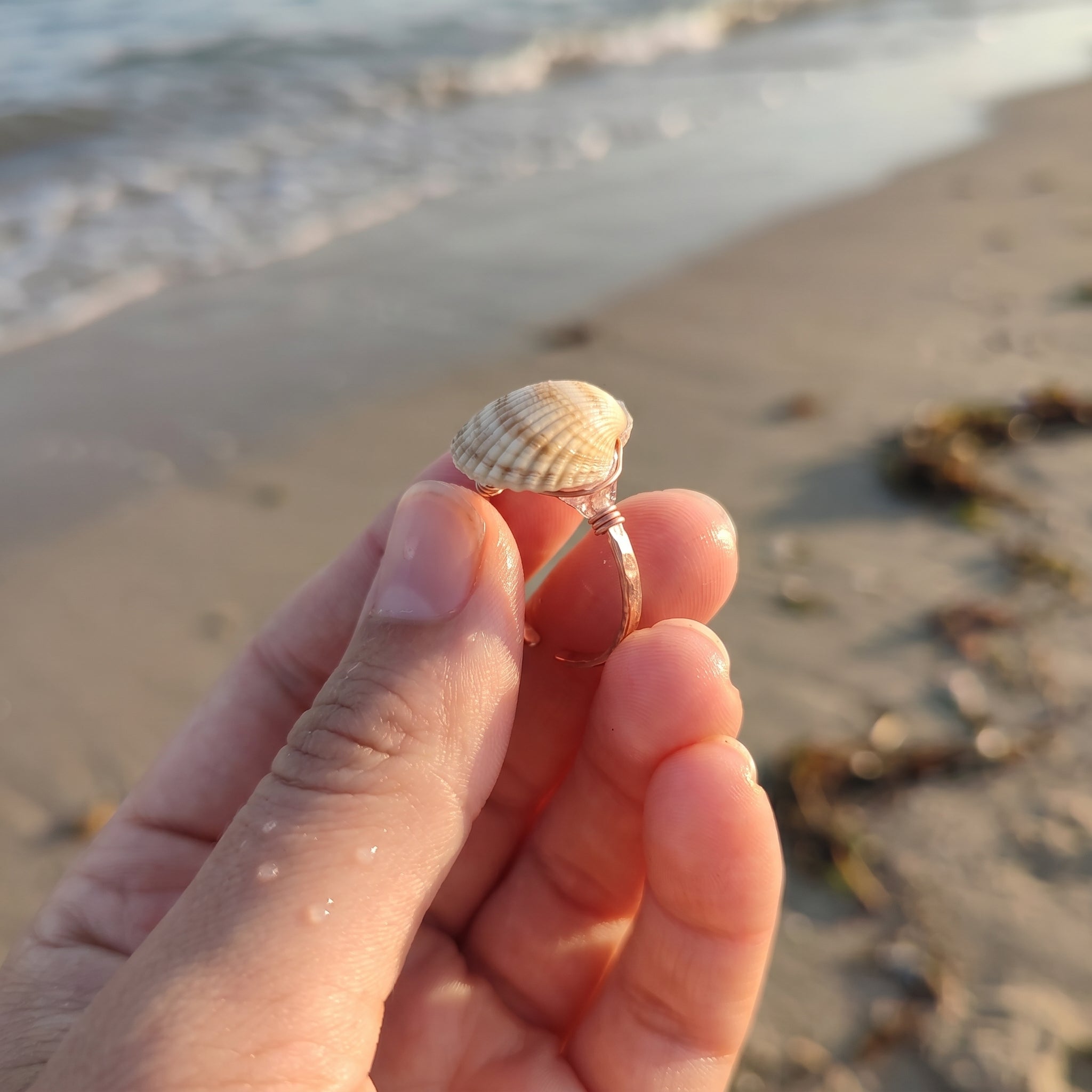 Shellvally Shell Statement Ring