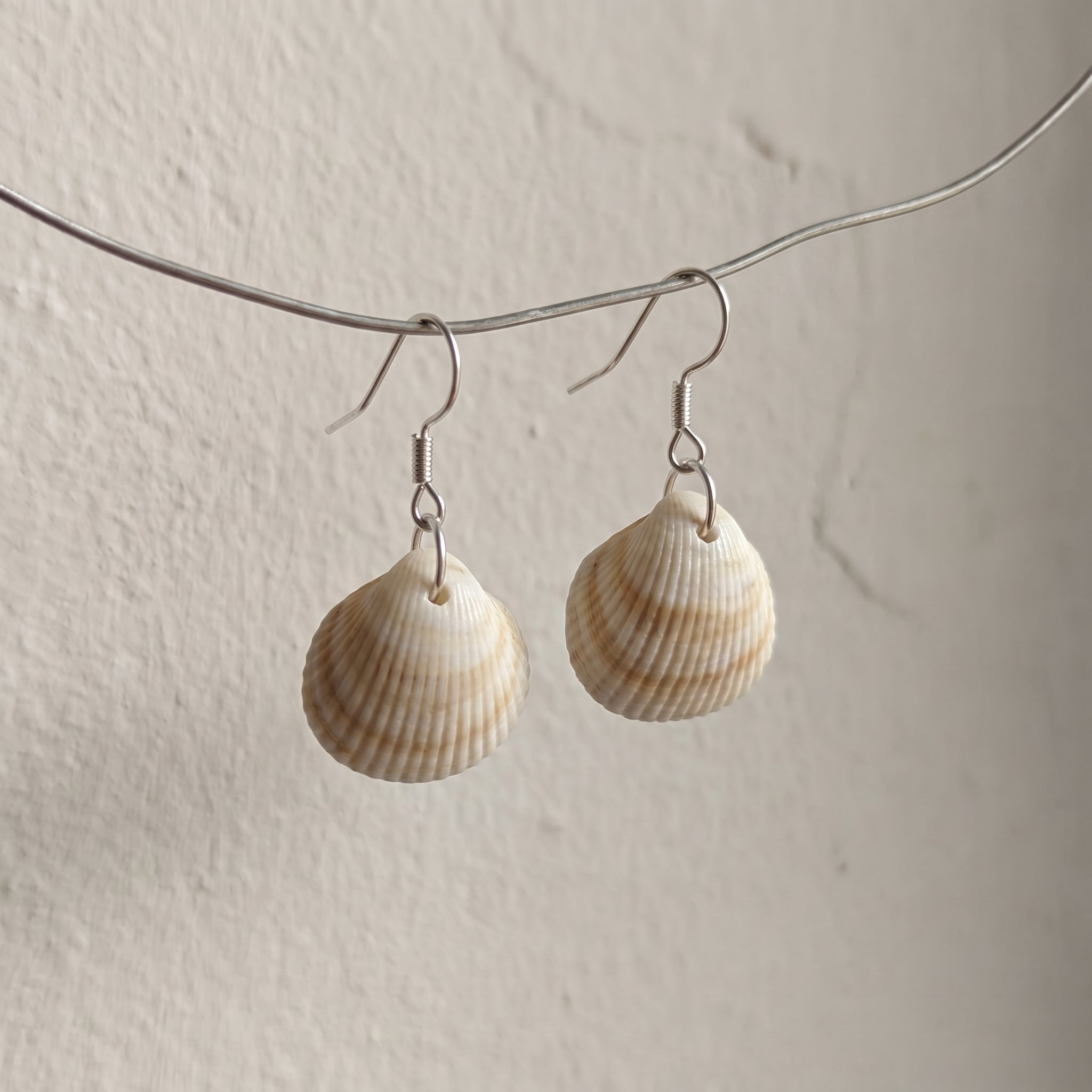 Shellvally Shell Drop Earrings